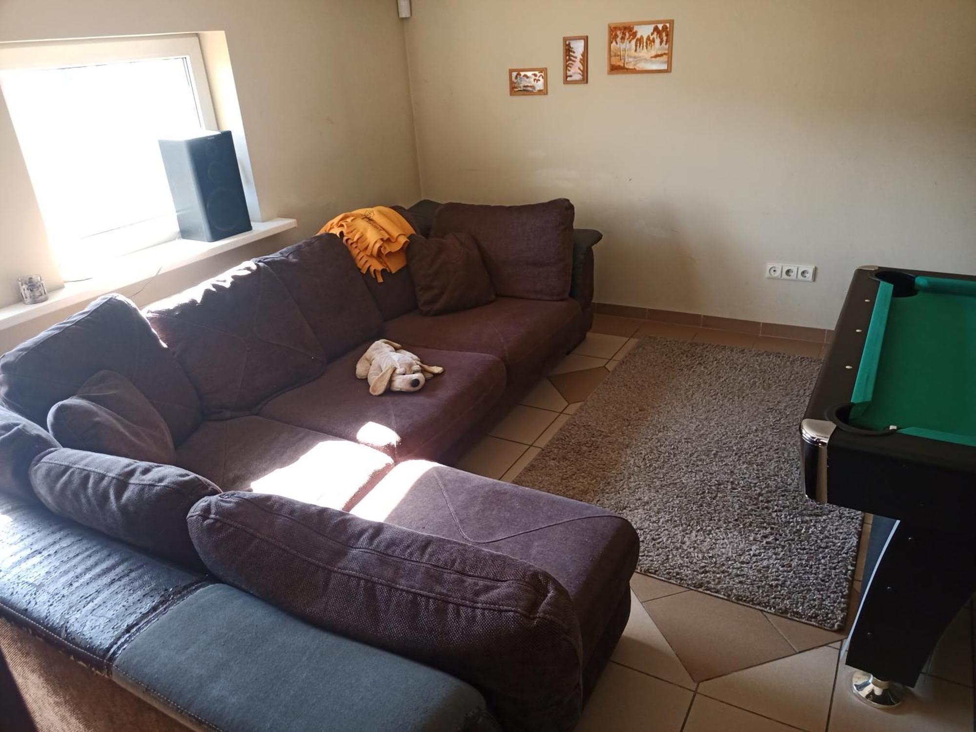 Cat Friendly Vilnius
